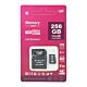 MicroSD-muistikortti PNI 256GB